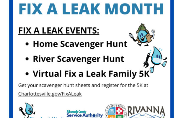 Celebrate Finding and Fixing Water Leaks this Spring!