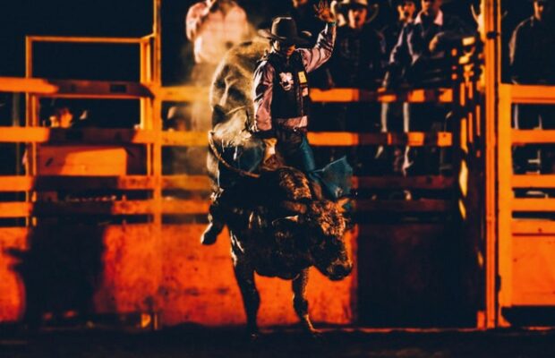 Bulls & Barrels in Gordonsville