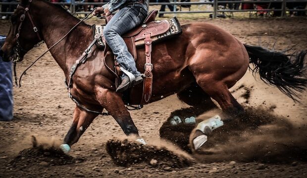 Rockfish River Rodeo