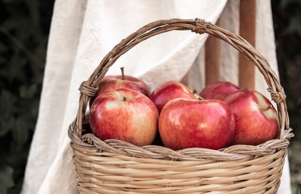 47th Apple Days Arts and Crafts Show