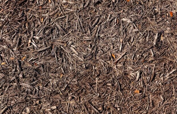 FREE Freshly Ground Mulch