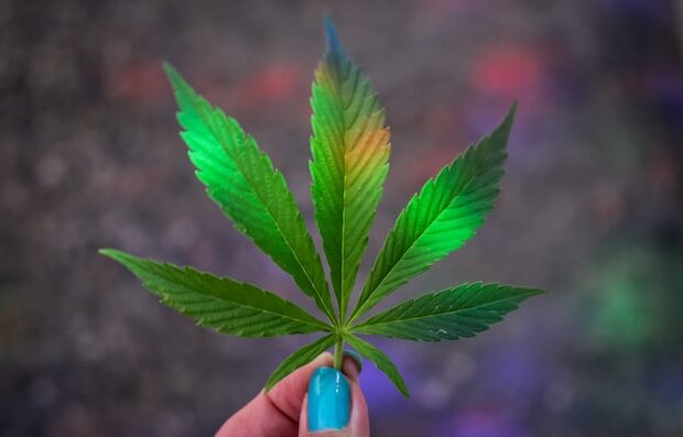 The 2nd Annual Blue Ridge 4/20 Fest feat. Larry Keel