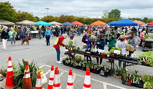 Piedmont Master Gardeners’ Spring Plant Sale