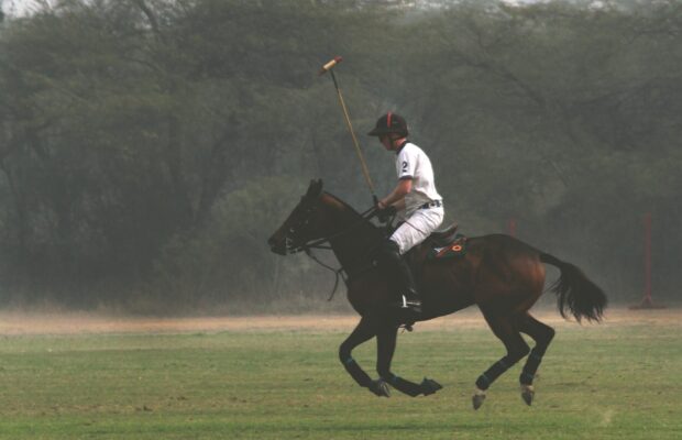Living Free Together Family Event- Polo at Roseland Farm