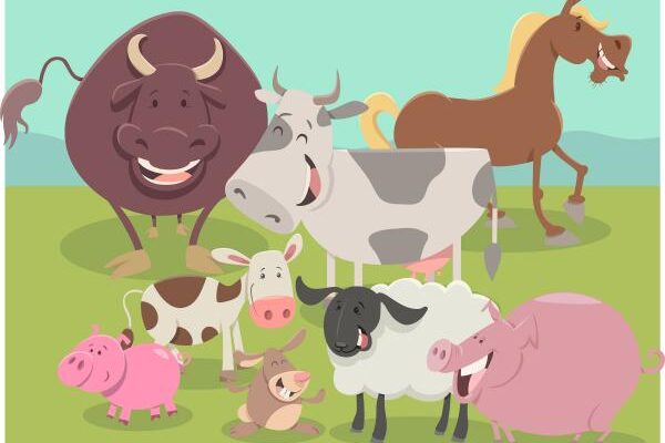 Finally Home Animal Haven Vendor Fair Finally Home Animal Haven Vendor Fair