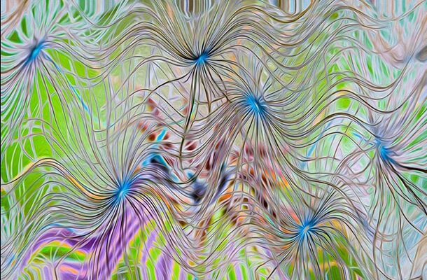 Photo Exhibition at Rockfish Community Center