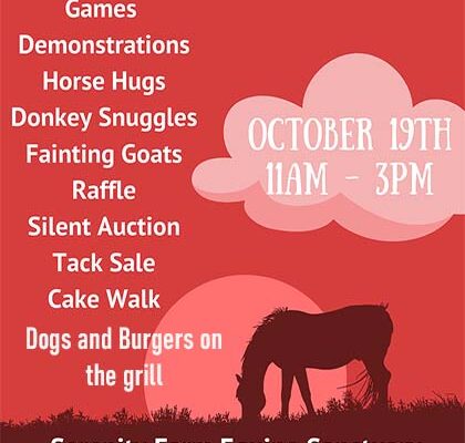 Serenity Day at Serenity Farm Equine Sanctuary