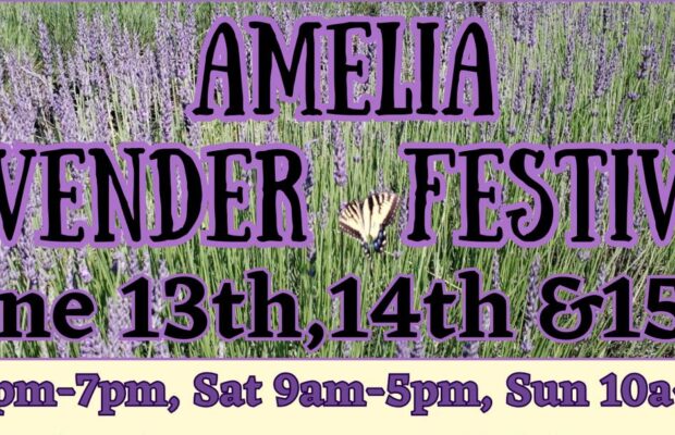 2025 AMELIA LAVENDER FESTIVAL