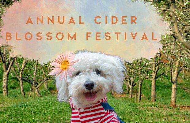 Annual Blossom Festival to benefit “Caring for Creatures”