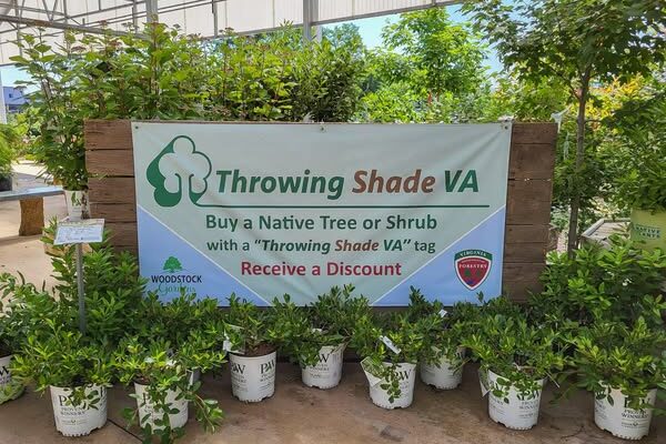 Throwing Shade VA Program with the Dept. of Forestry