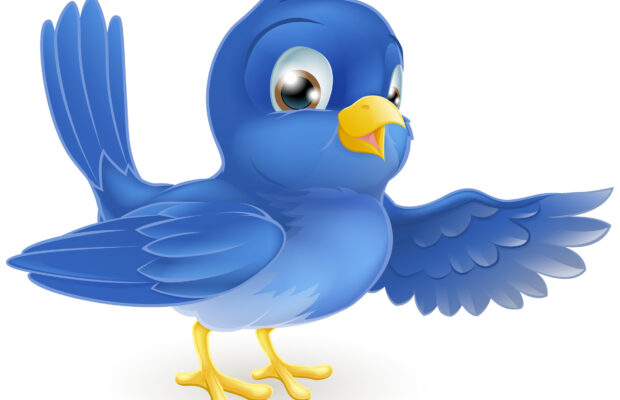 National Foster Care Blue Bird Event