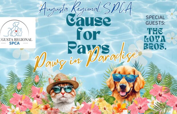 Cause for Paws- Paws in Paradise