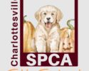 CASPCA 2nd Annual Fall Festival