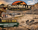 Culpeper Museum "Dino Walk"