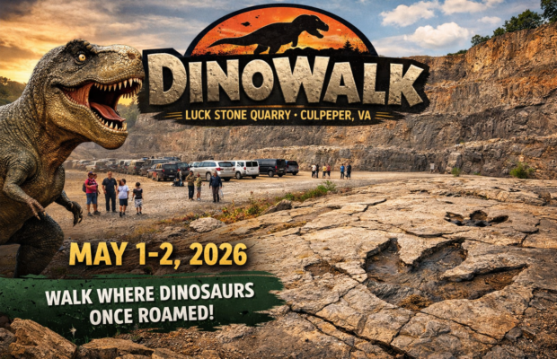 Culpeper Museum “Dino Walk”