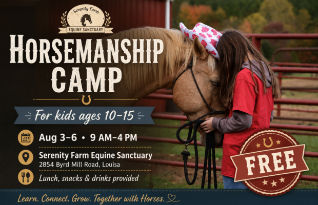 Horsemanship Camp
